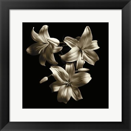 Framed Three Lilies Print