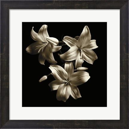 Framed Three Lilies Print