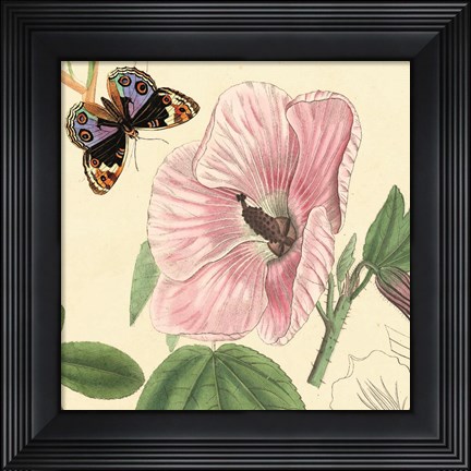 Framed Hibiscus Print