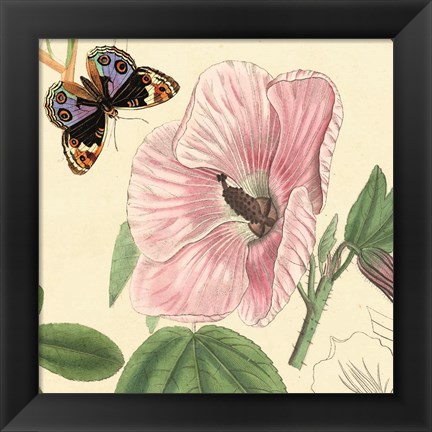 Framed Hibiscus Print