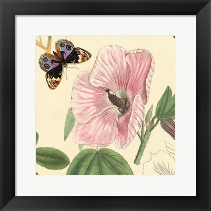 Framed Hibiscus Print