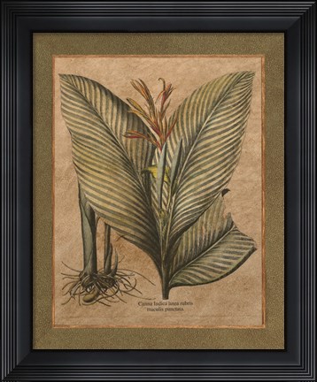 Framed Valencia II Print