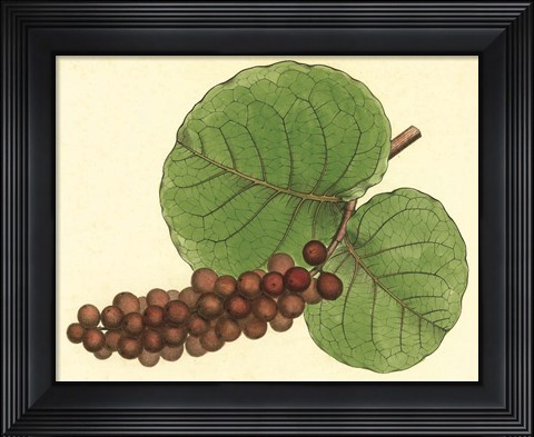 Framed Palmetto II Print