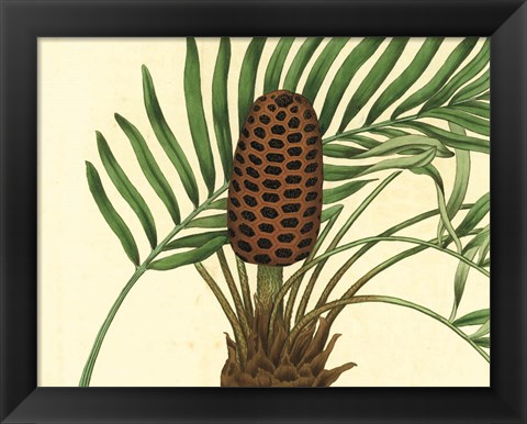 Framed Palmetto III Print