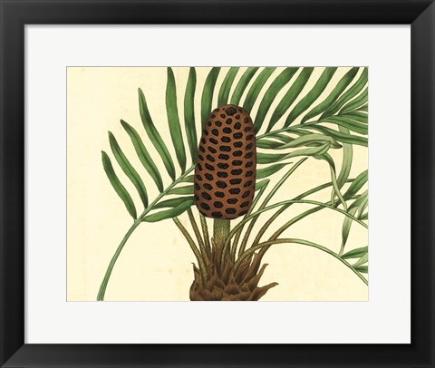 Framed Palmetto III Print