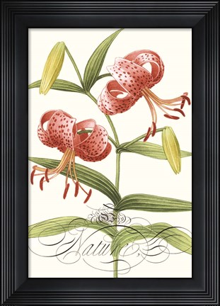 Framed Modern Atelier II Print