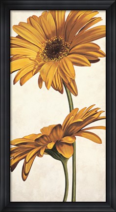 Framed Armonie in giallo Print