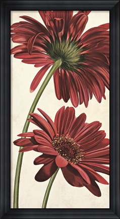 Framed Armonie in rosso Print