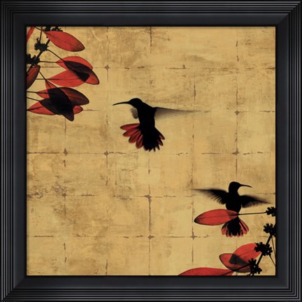 Framed Colibri I Print