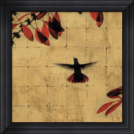 Framed Colibri II Print