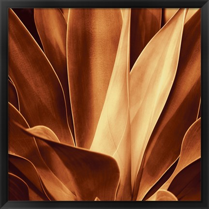 Framed Santa Fe I Print