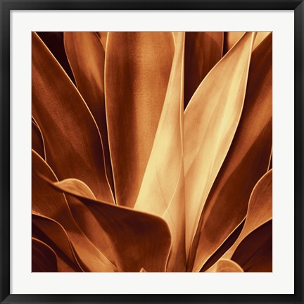 Framed Santa Fe I Print