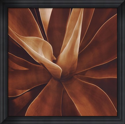 Framed Santa Fe II Print