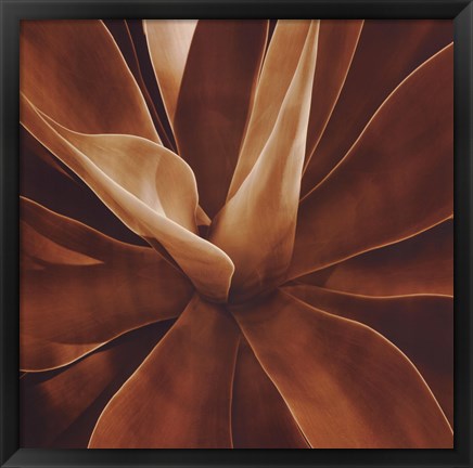Framed Santa Fe II Print