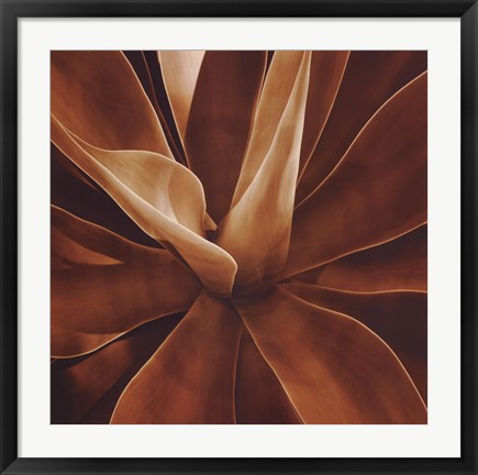 Framed Santa Fe II Print