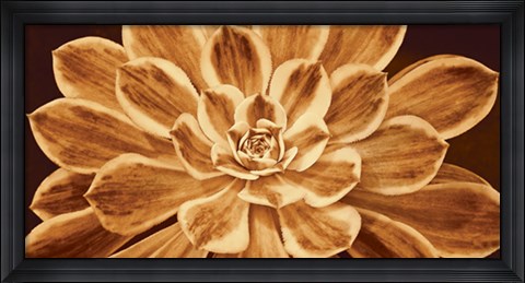 Framed Sedona Print