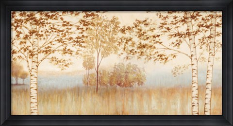 Framed Birches in the Mist Print
