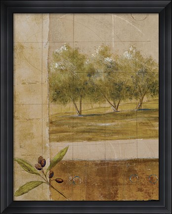 Framed Olive Groves I - CS Print