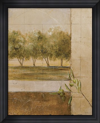 Framed Olive Groves II - CS Print