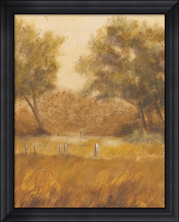Framed Traveled Path I Print