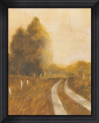 Framed Traveled Path II Print