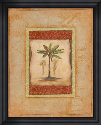 Framed Palm Botanical Study I - CS Print