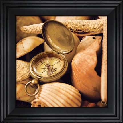 Framed Lost in Time II Print