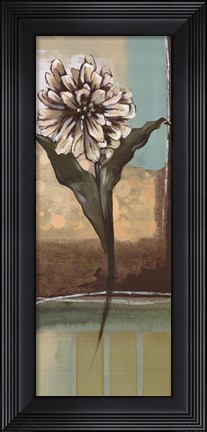 Framed Floral Splendor II Print
