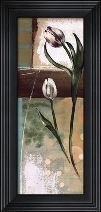 Framed Floral Splendor III Print