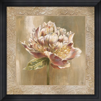 Framed Pivoines I - CS Print
