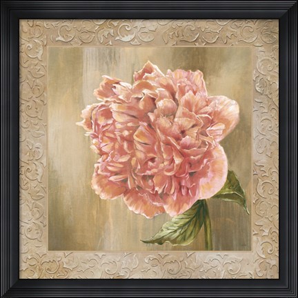 Framed Pivoines II - CS Print