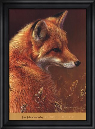 Framed Curious Red Fox Print
