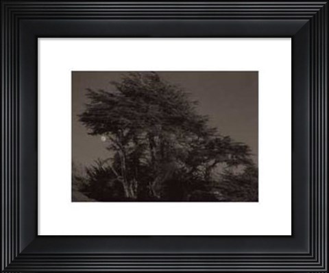 Framed Harvest Moon Print