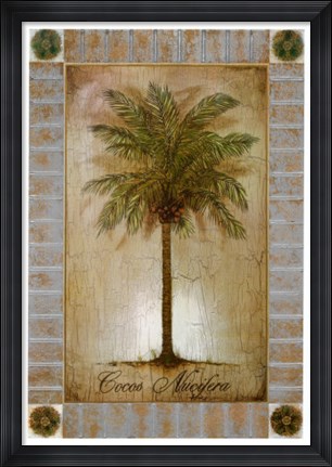 Framed Cocos Nucifera Print
