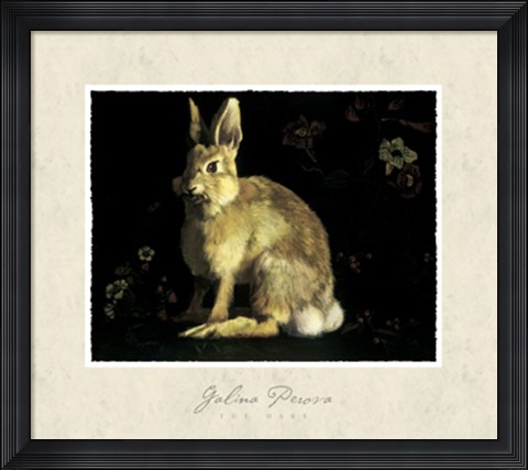 Framed Hare Print