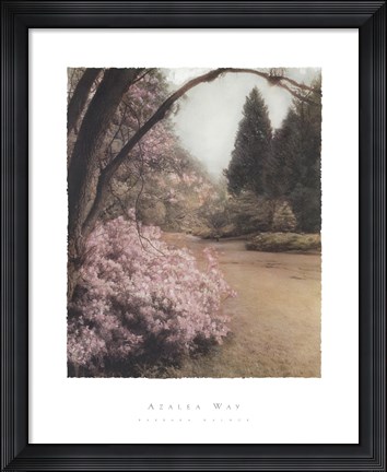 Framed Azalea Way Print