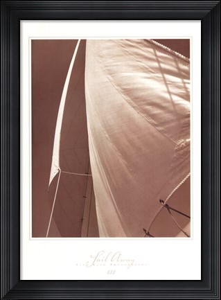 Framed Sail Away III Print