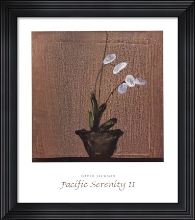 Framed Pacific Serenity II Print