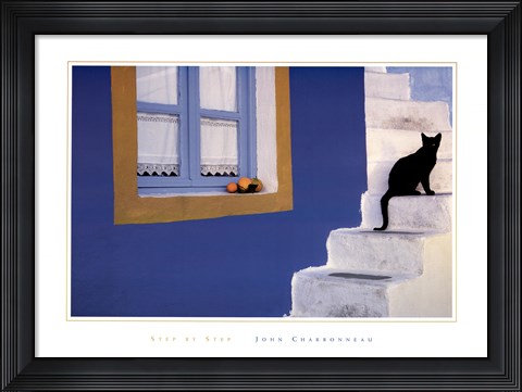 Framed Step by Step Print