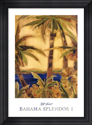 Framed Bahama Splendor I Print