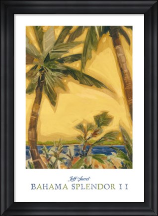 Framed Bahama Splendor II Print