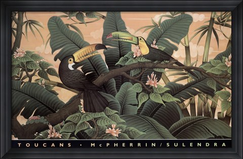 Framed Toucans Print