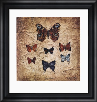 Framed Papillons II Print