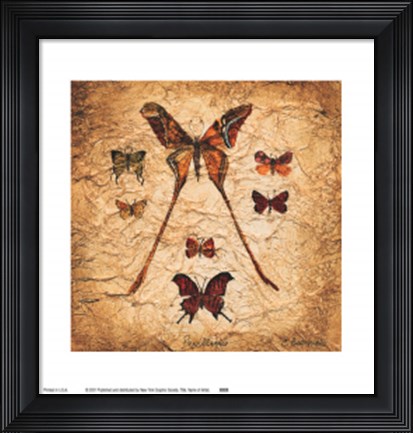 Framed Papillons IV Print