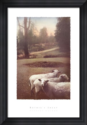 Framed Ruthie's Sheep Print