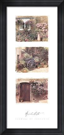Framed Flowers of Provence Print