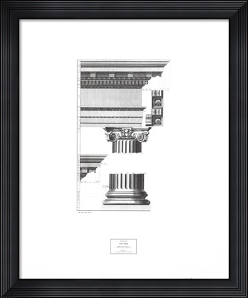 Framed Ionic Order Print