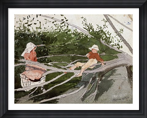 Framed Out on a Limb Print