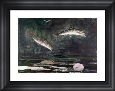 Framed Leaping Trout Print