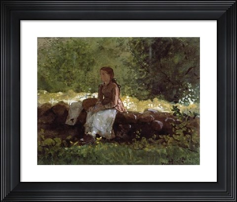 Framed On The Fence Print